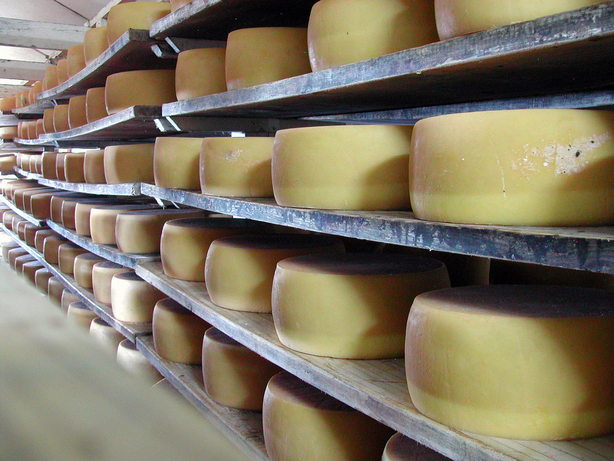 Queijo.jpg