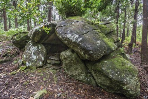 950 Jahre altes menschliches Zeugnis.JPG