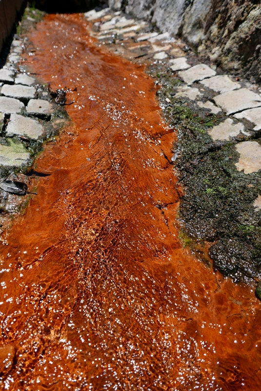 Azoren_red_2015-4.jpg