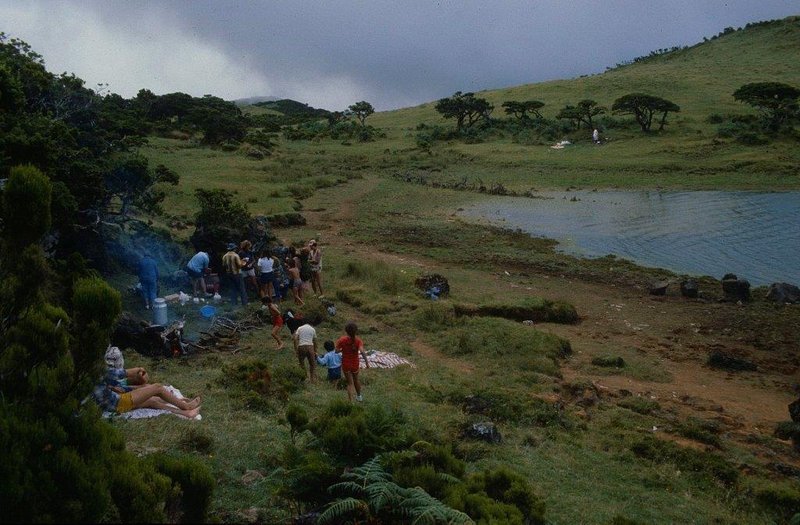 Open Air Reunion.jpg