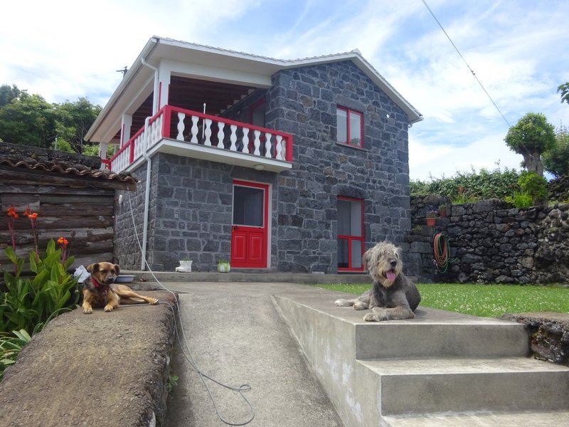 RICO-PRETA-vor Villa.jpg