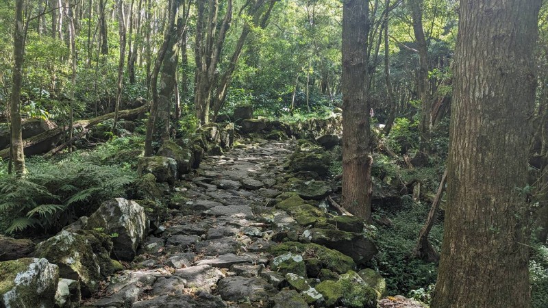 1a.jpg (307.91 KiB) 4178 mal betrachtet 1a.jpg