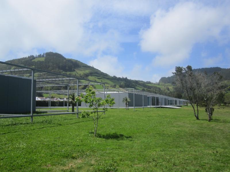 K800_IMG_3733.JPG
