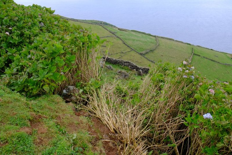 DSCF9184.jpg